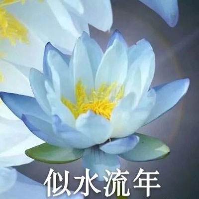伊朗发动第79轮行动